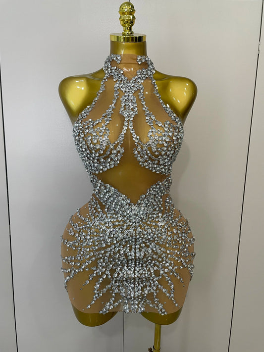 Rosette Designer Dress